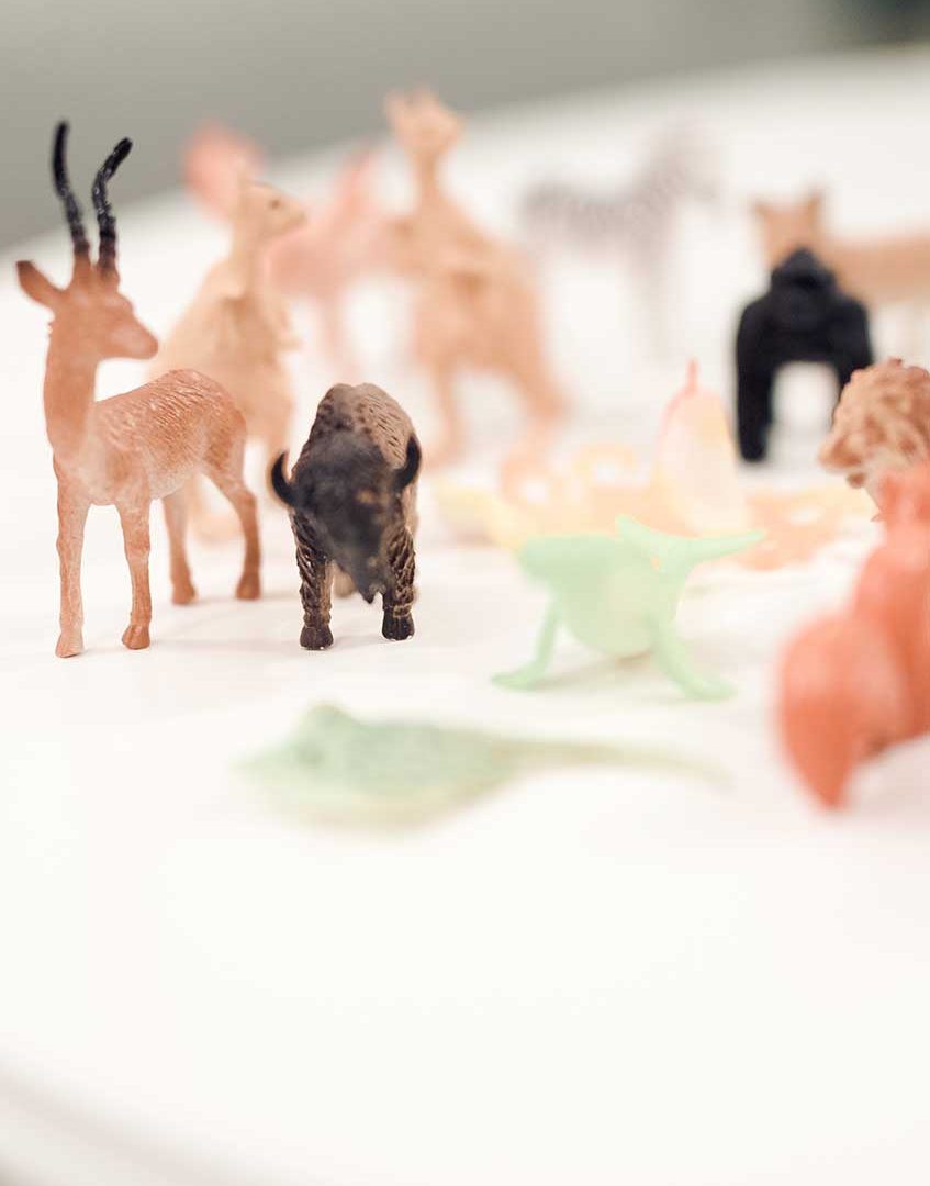 Mitte Mensch - Zentrum für Systemische Therapie - Psychotherapie 1020 Wien - Systemische Familientherapie - Kindertherapie-Therapie Jugendliche