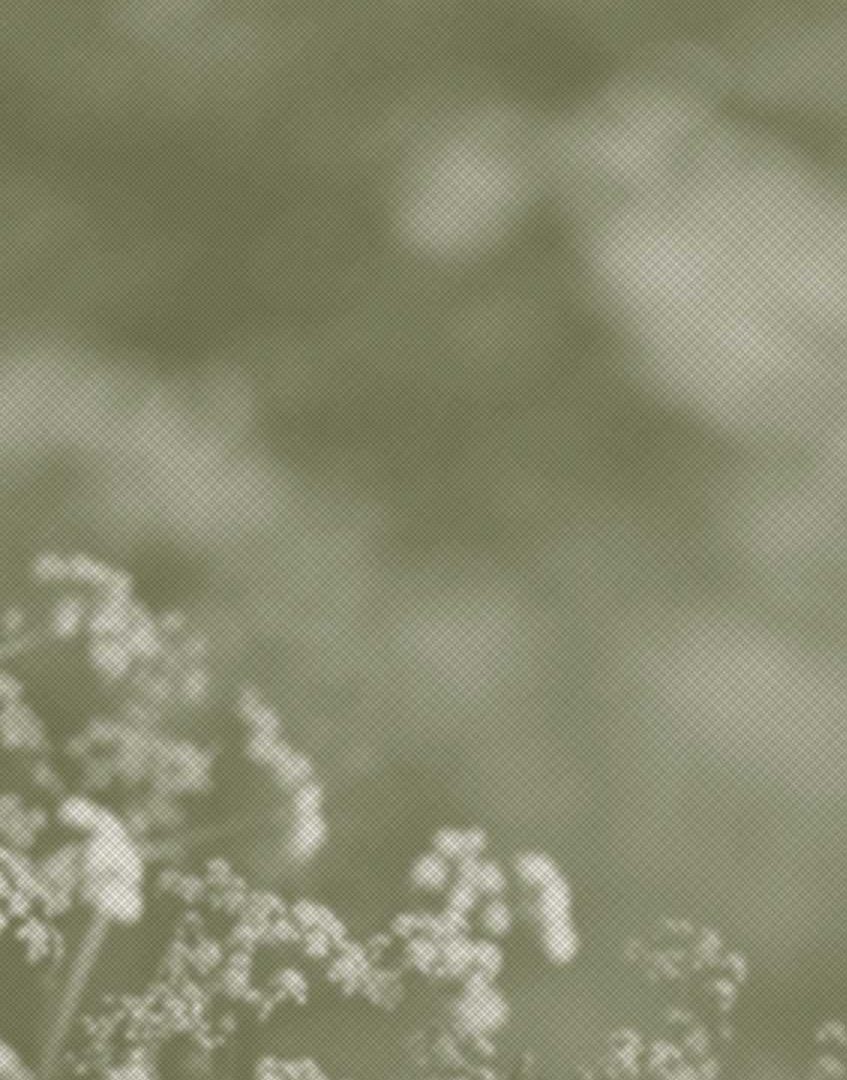 Mitte Mensch - Zentrum für Systemische Therapie- Psychotherapie 1020 Wien- Rahmenbedingungen